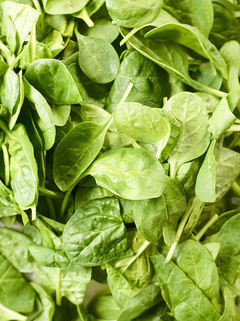 Fresh spinach leaves (full frame)
