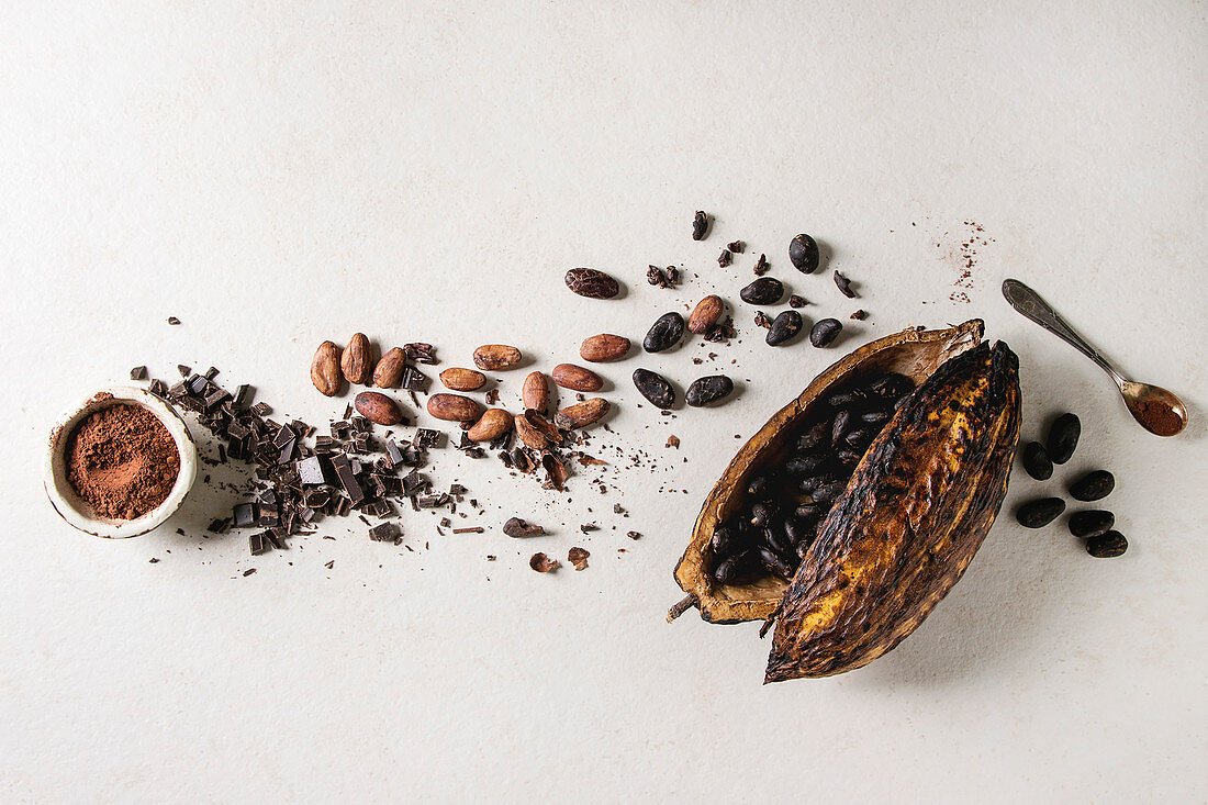 Variety of fresh and dry cocoa beans from cocoa pod with chopped dark chocolate and cocoa powder