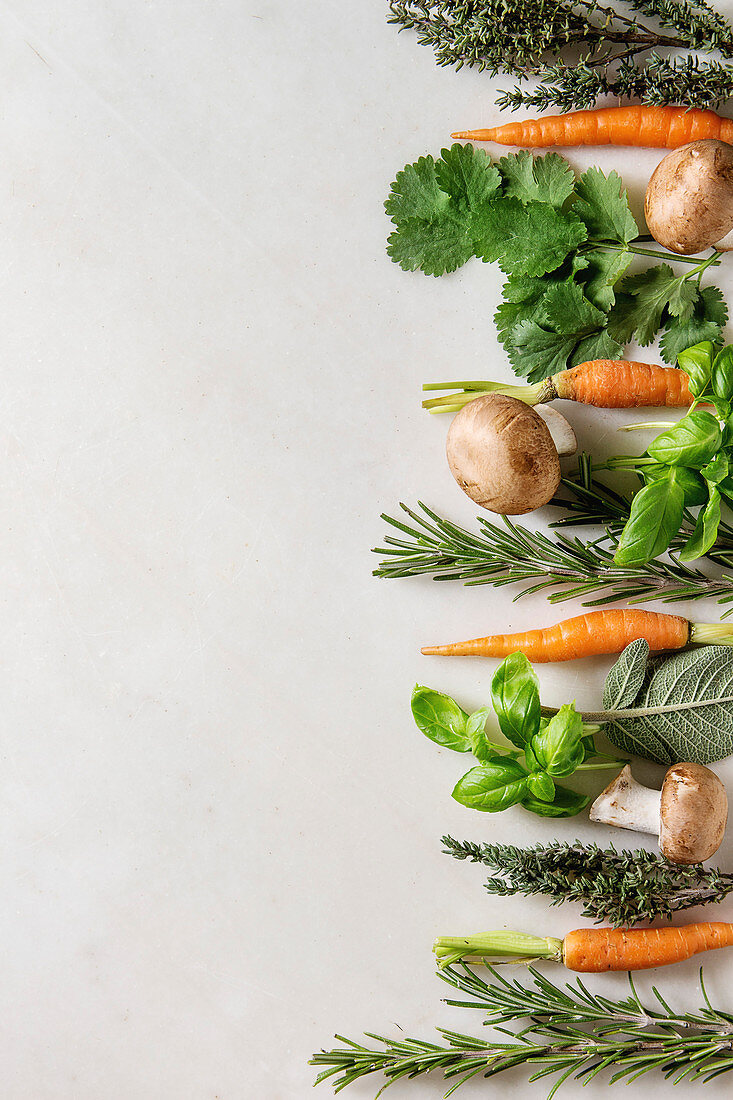 Still life with fresh herbs, carrots and mushrooms