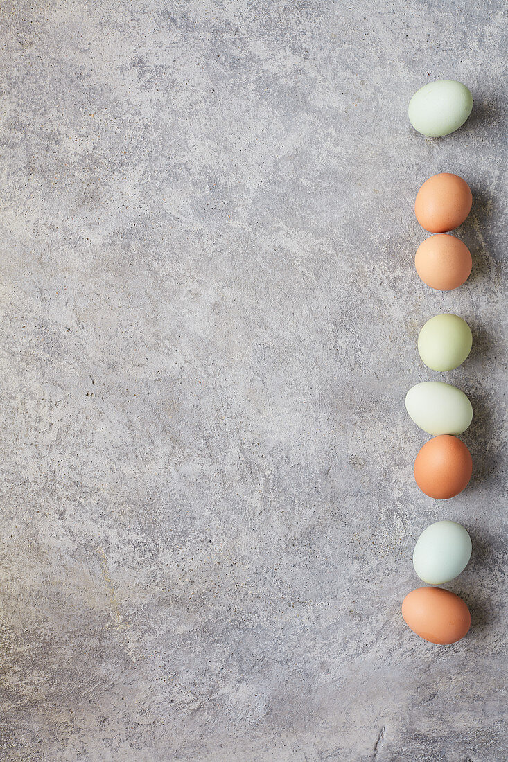 Different coloured eggs in a row