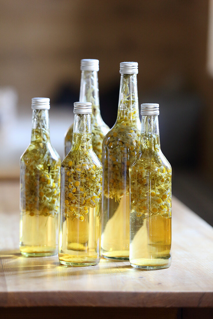 Homemade chamomile oil in bottles