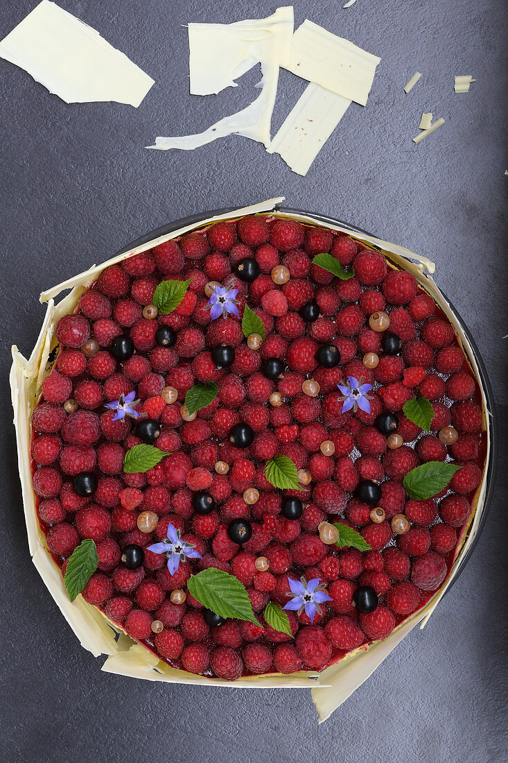 Bavarian cream cake with berries