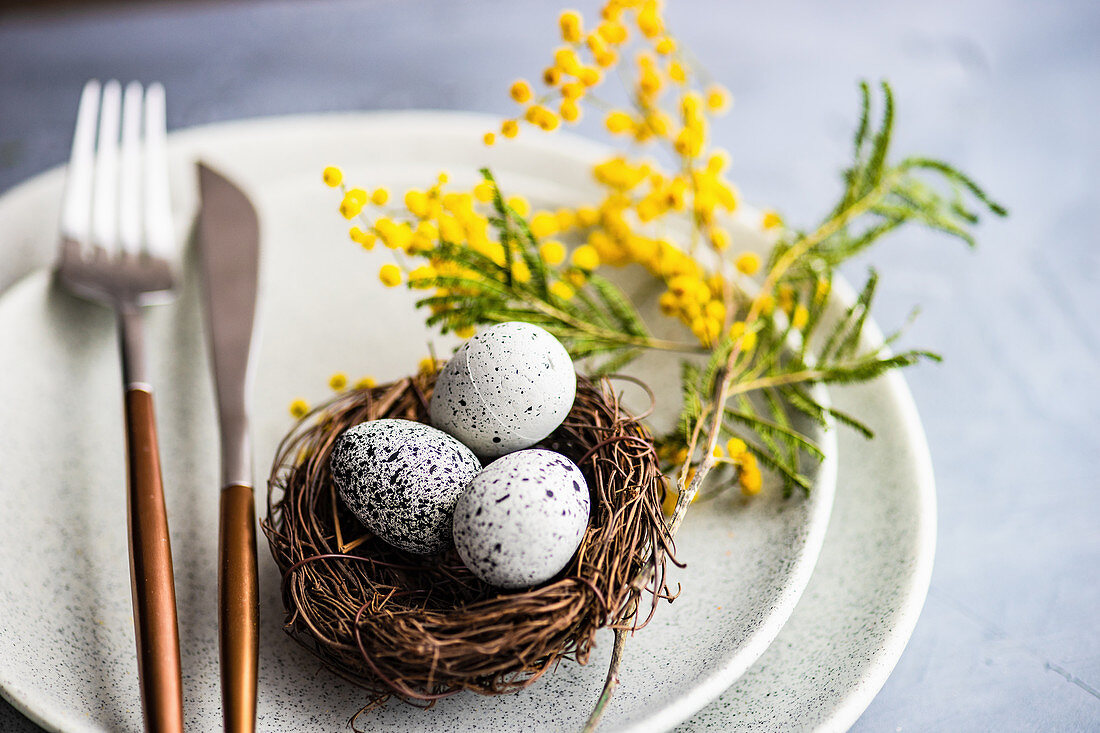 Festive table setting with mimosa flowers for easter holiday dinner
