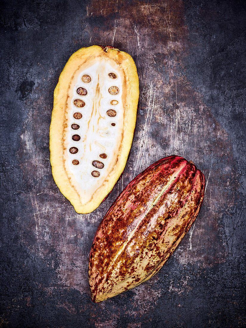 Halved cocoa pod on a dark metal background