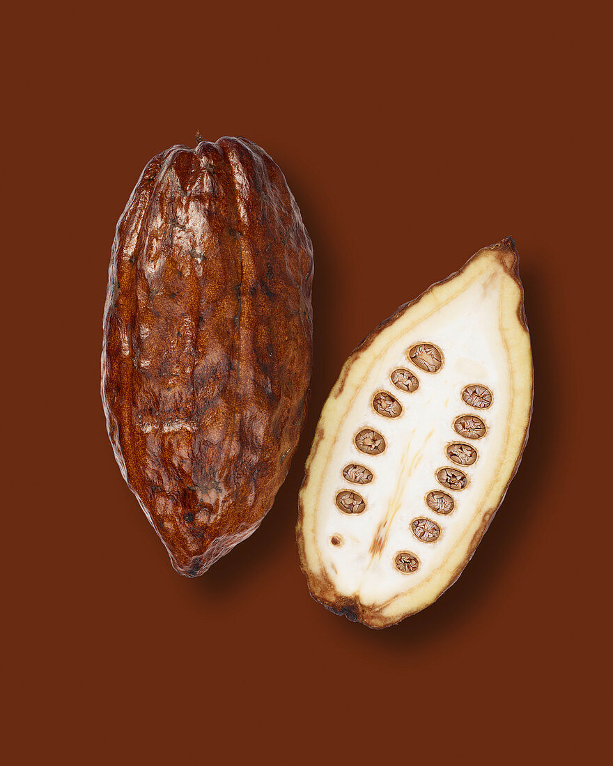 Halved cocoa pod on a brown background