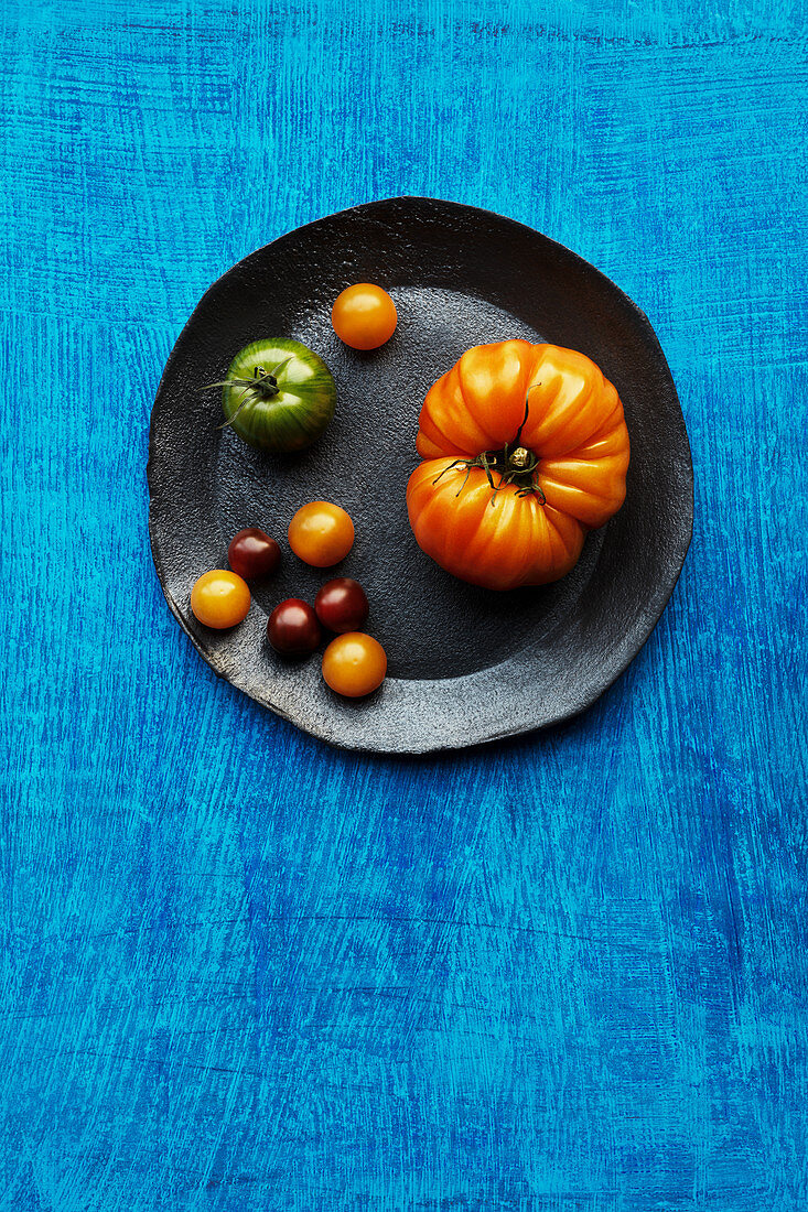 Verschiedene Tomatensorten auf Teller und blauem Untergrund