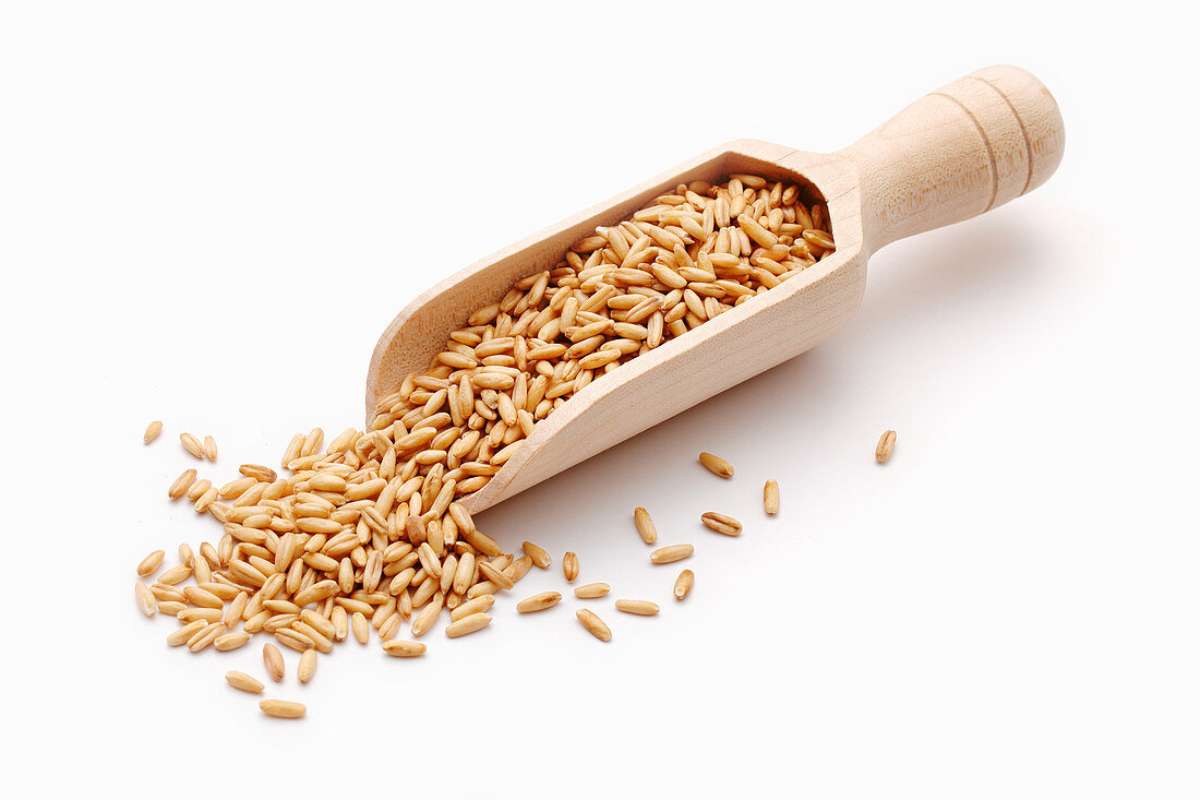 Oats on a small wooden scoop