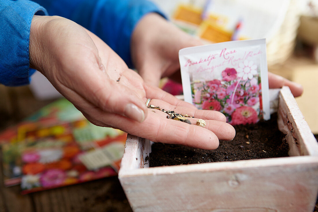 Seeds in hand