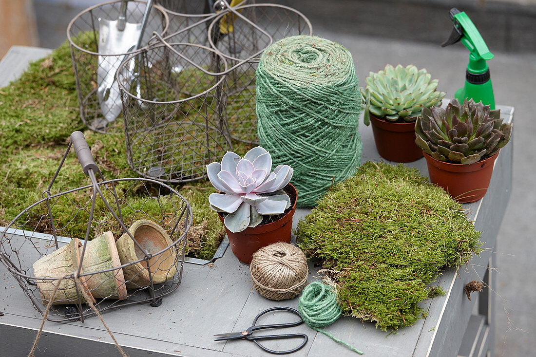 Making kokedama