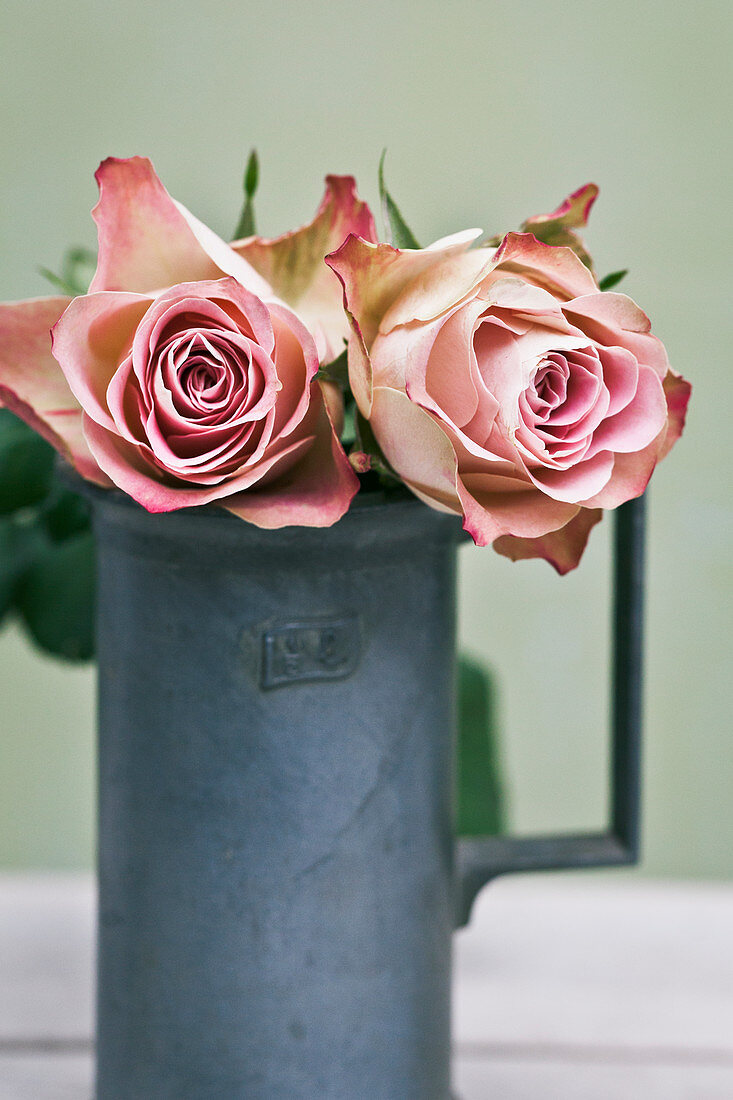 Roses in vase