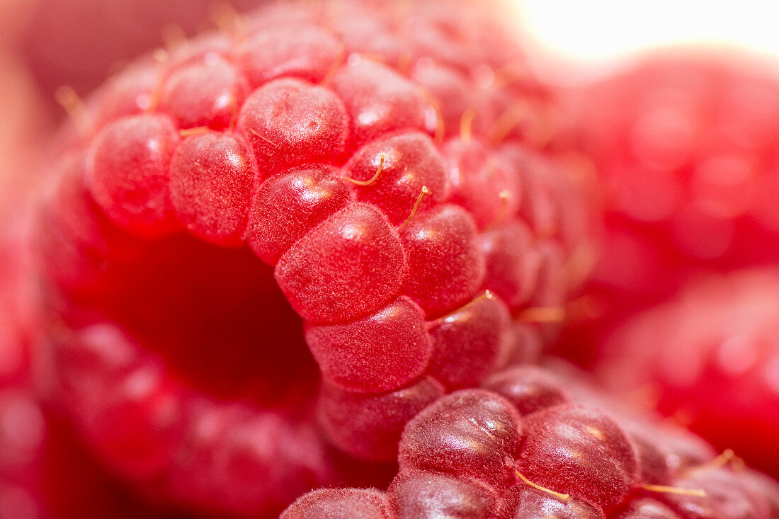 Himbeeren (Nahaufnahme)