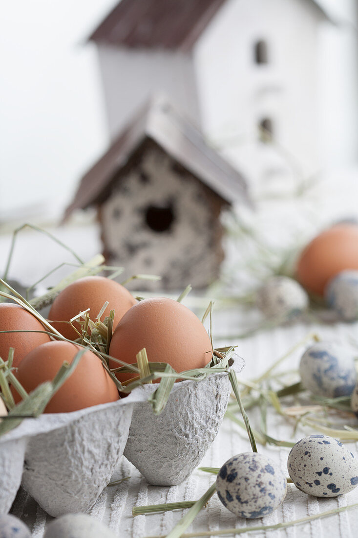 Eier im Eierkarton mit Wachteleiern