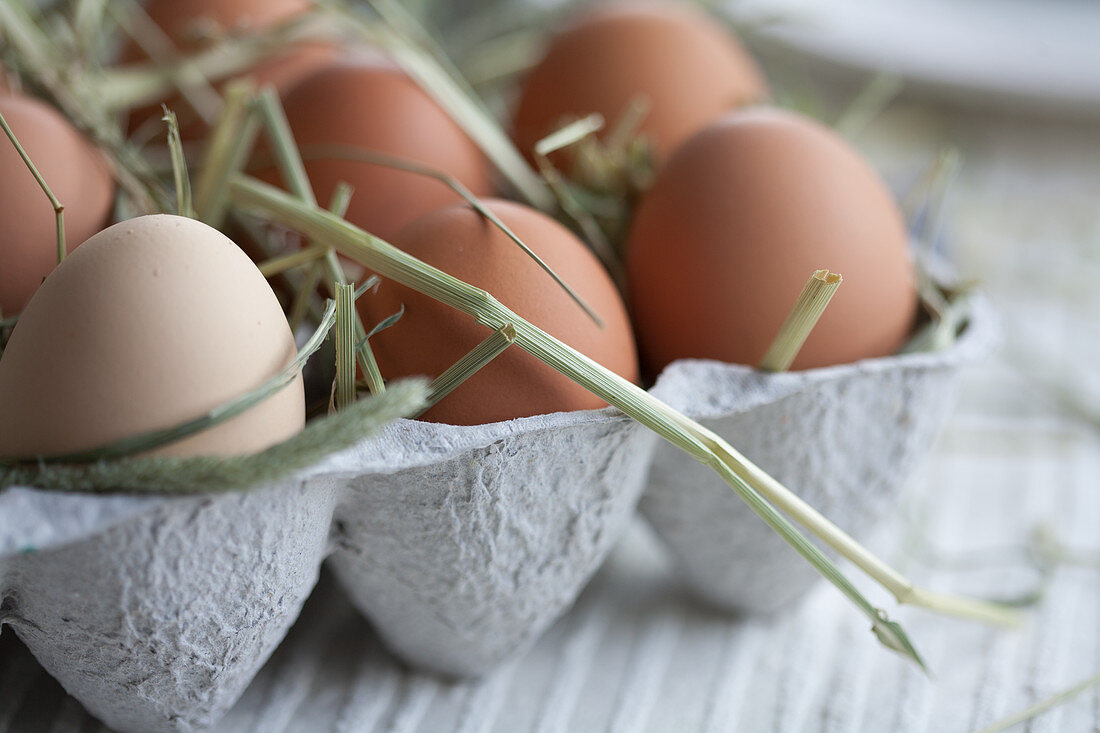 Eggs in an egg box with straw