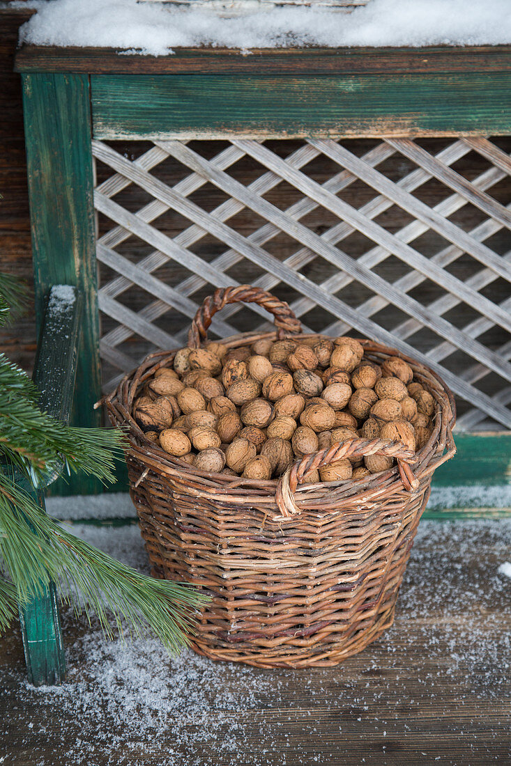 Wicker basket full of nuts in front of rustic wooden bench outside