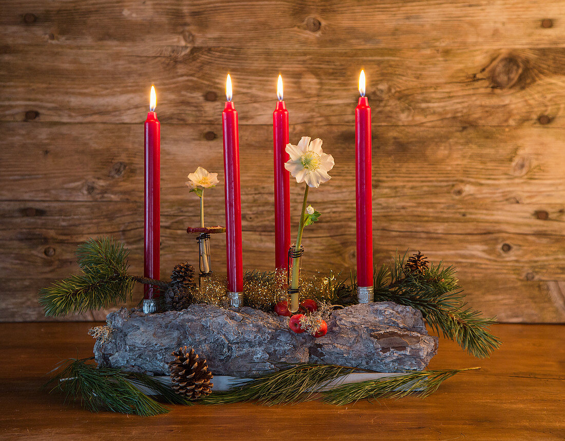 Adventsgesteck mit Christrosen, Zapfen und Nadelzweigen in Schale aus Kiefernrinde