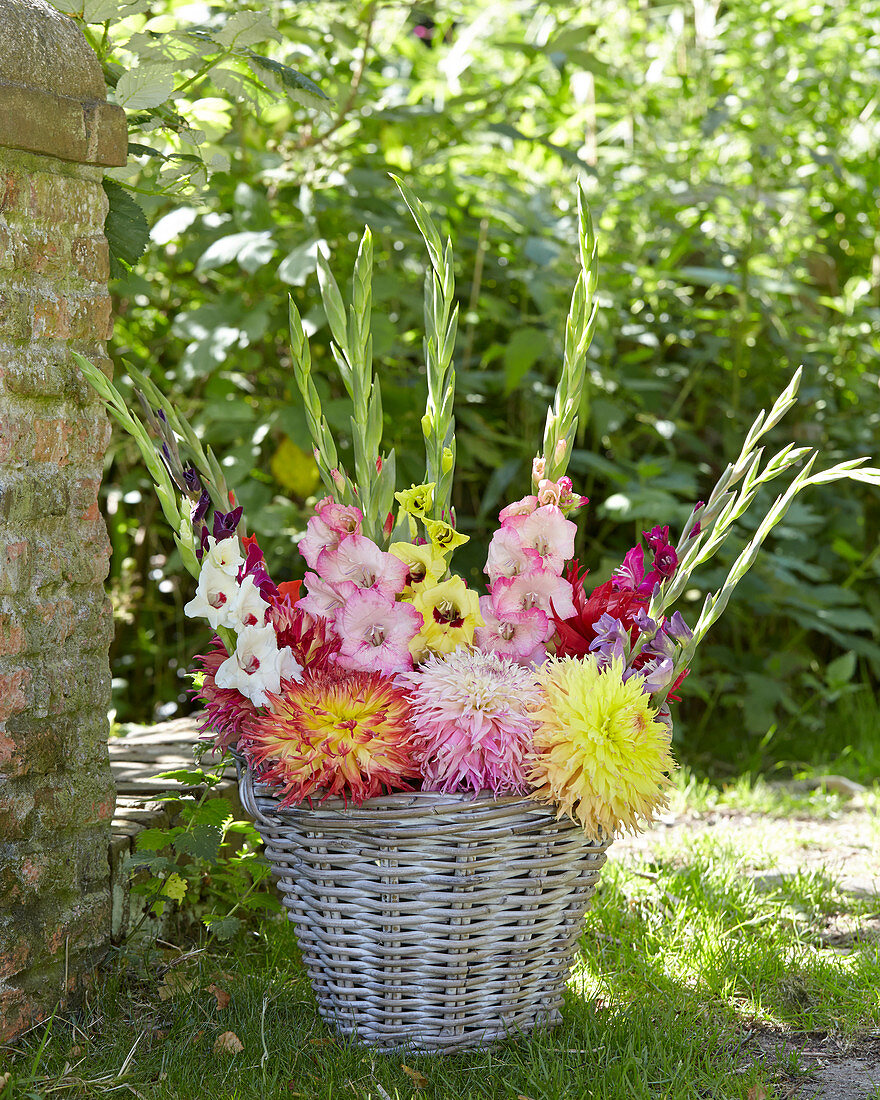 Dahlia and gladiolus mix