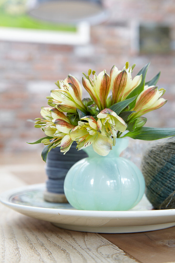 Alstroemeria in vase