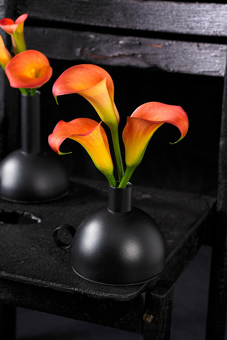 Zantedeschia on vase