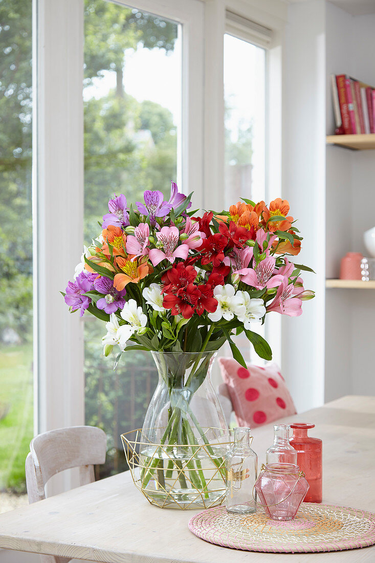 Alstroemeria Red Delight Alstroemeria Misty Spring Alstroemeria Moria Alstroemeria Elegance Alstroemeria Party