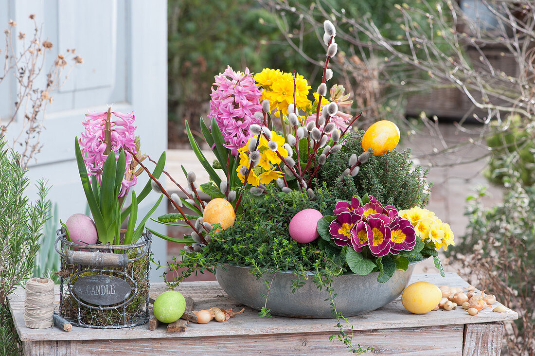 Easter bowl with primroses, hyacinths, savory and thyme