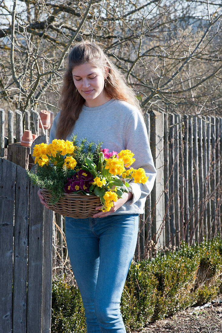 Woman carries basket of primroses and rosemary