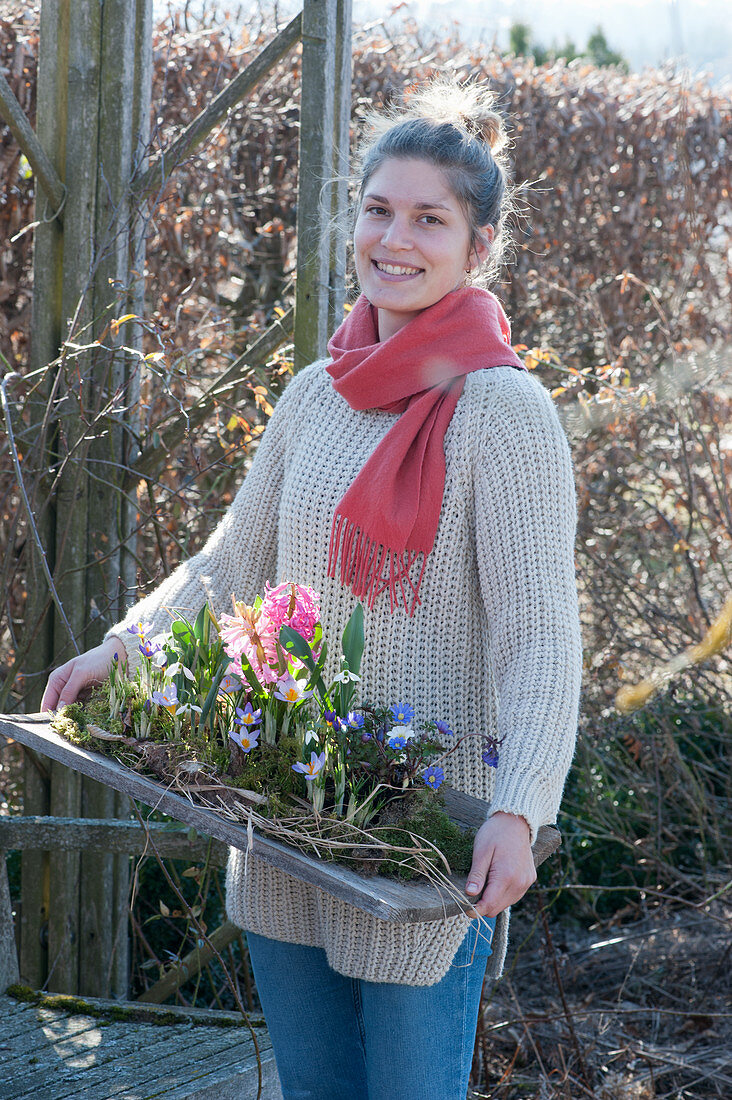 Frau trägt Brett mit Hyazinthen, Krokussen und Strahlenanemone