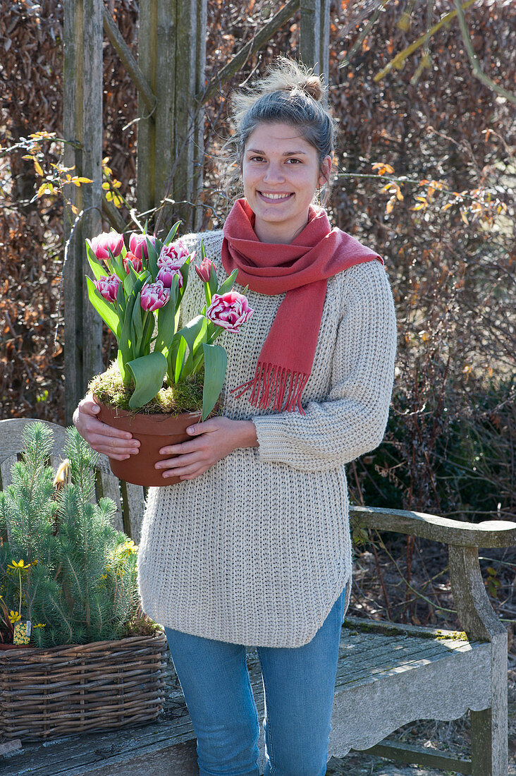 Woman carries pot of tulip 'Wirosa'