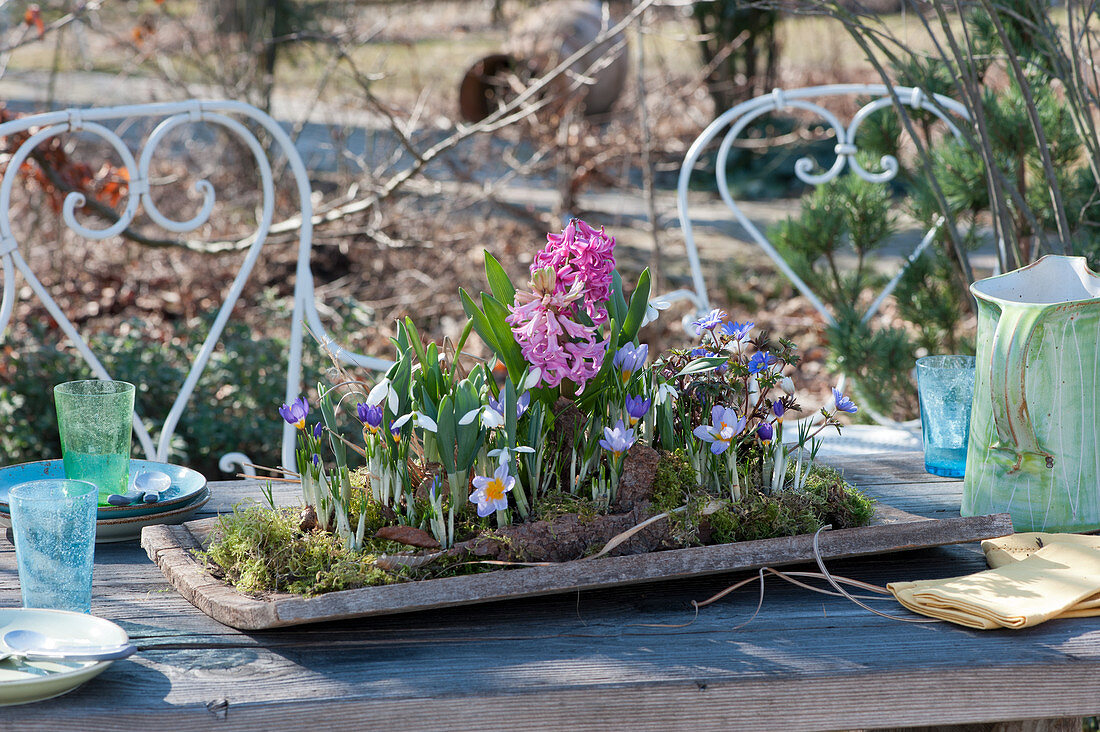 Table decoration with spring bloomers on wooden board