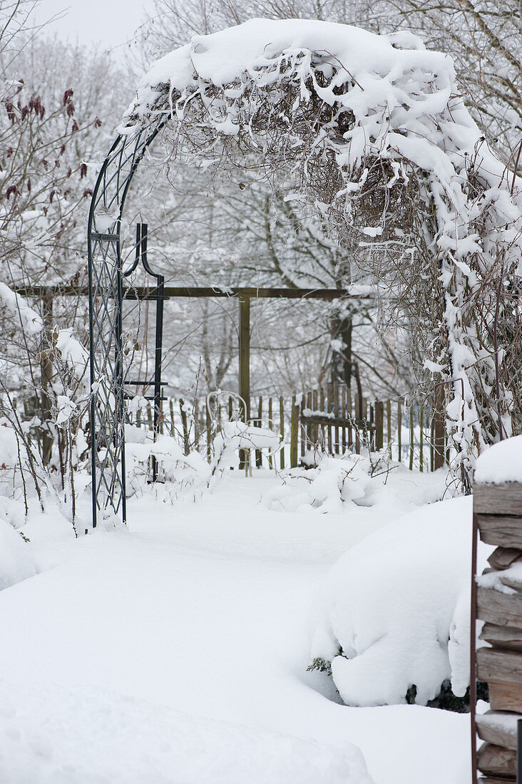 Verschneiter Rosenbogen im Garten