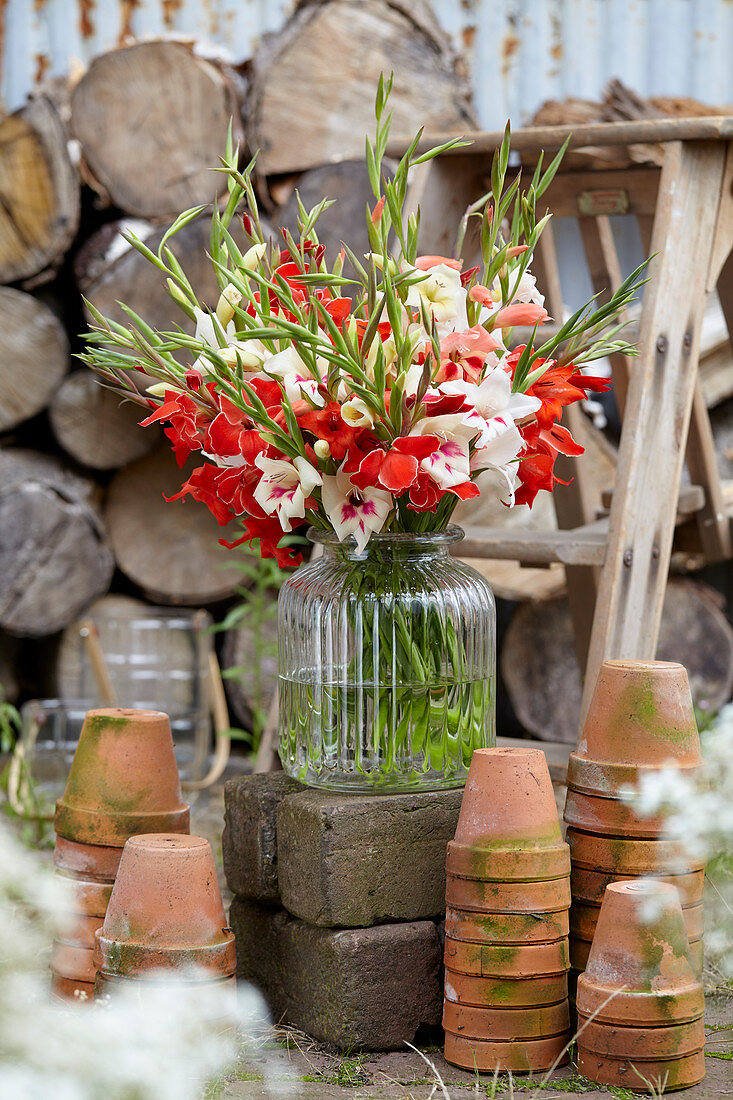 Gladiolus bouquet