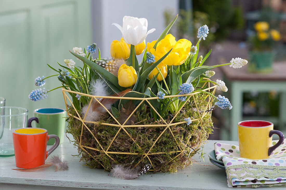 Spring basket with tulips and grape hyacinths in moss