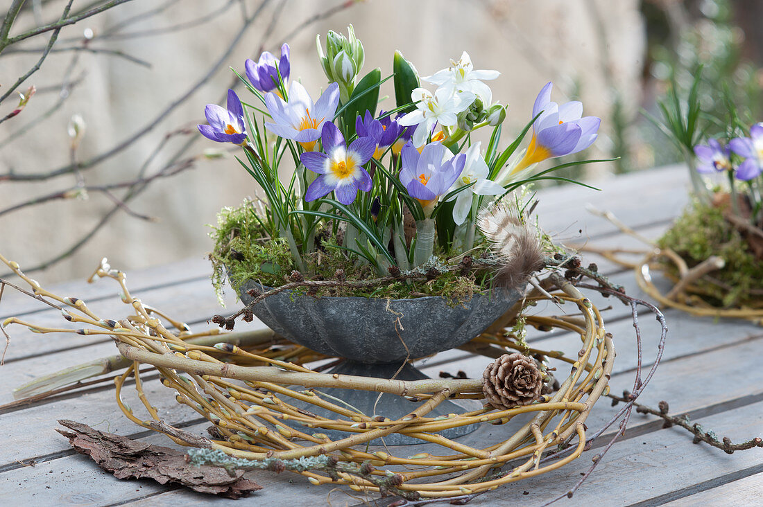 Bowl with crocuses and milk star in a wreath of branches