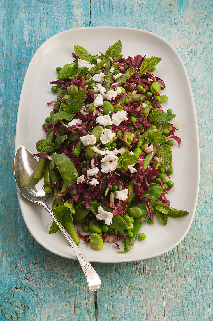 Green vegan raddiccio salad