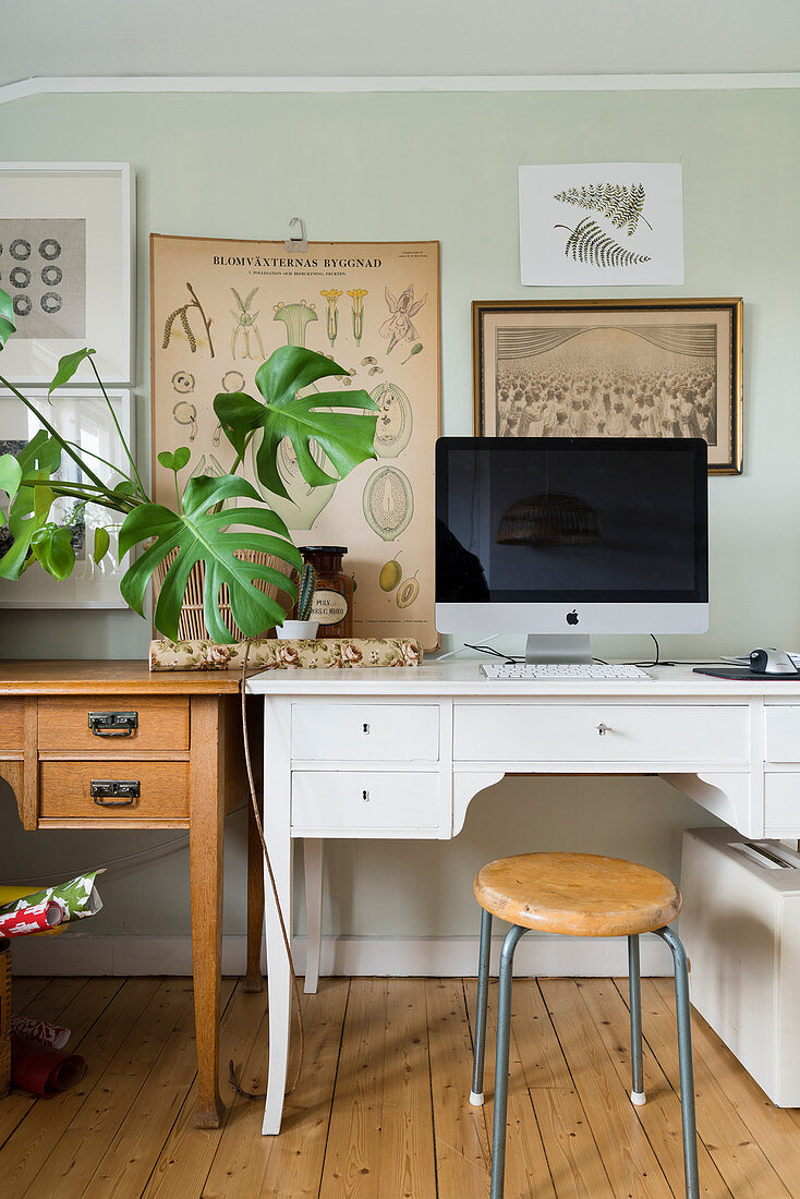 Monitor and houseplant on two desks below gallery of pictures on wall