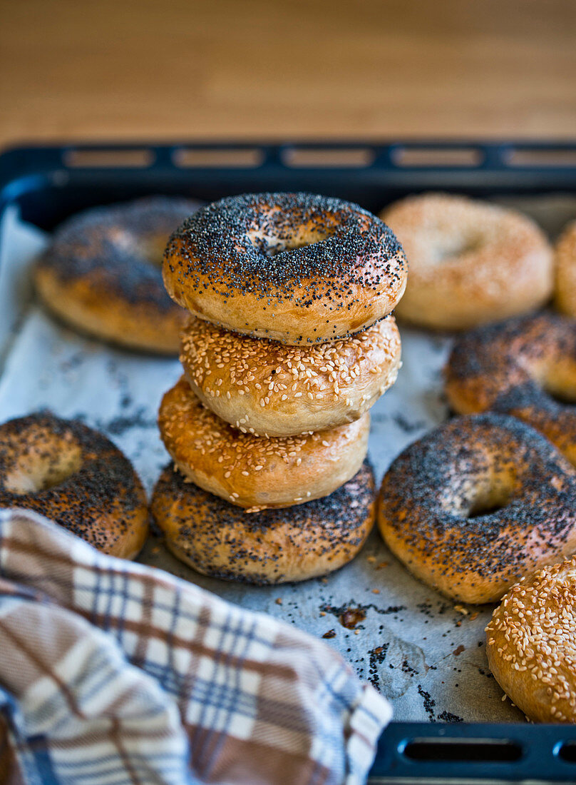 Bagels mit Mohn und Sesam auf Backblech