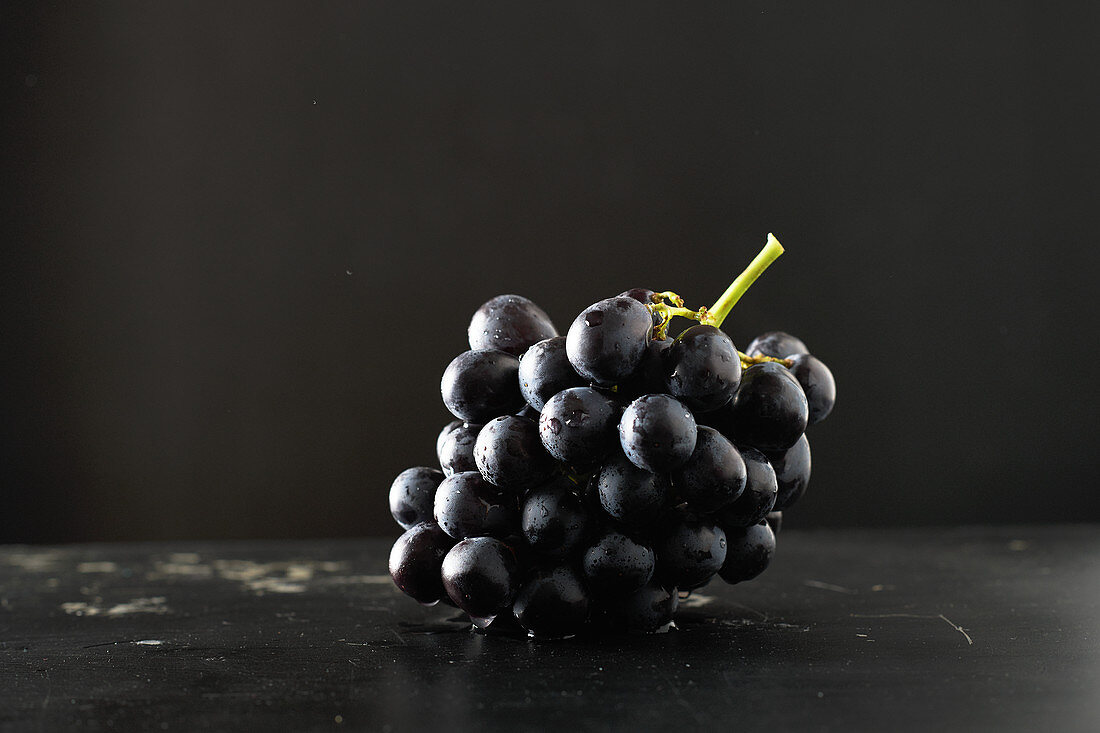 Eine Traube schwarze Weintrauben