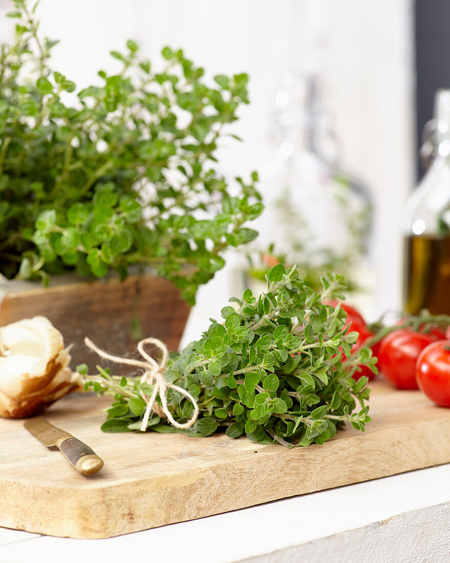 A bunch of fresh oregano on a wooden board