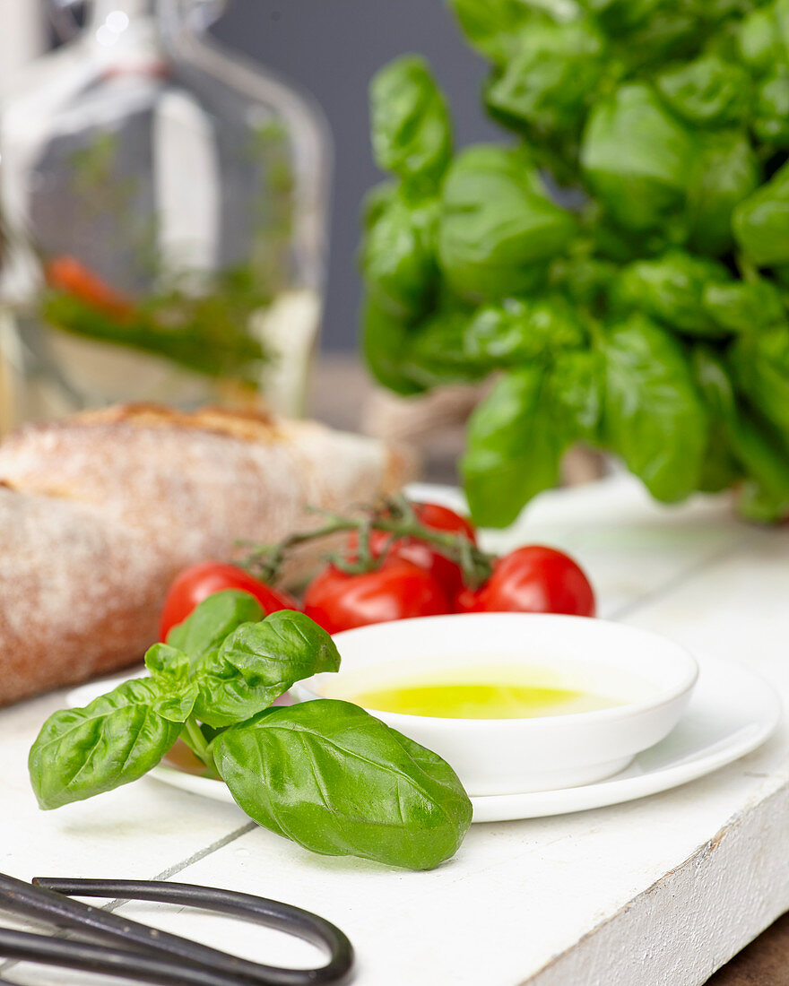 Basilikum, Schälchen mit Olivenöl und Tomaten