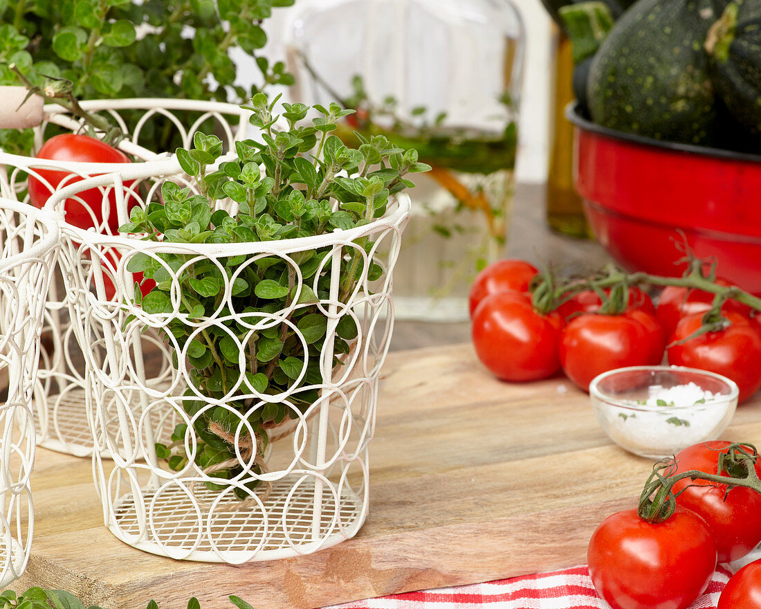 A basket of fresh oregano, tomatoes and a bowl of salt on a wooden board
