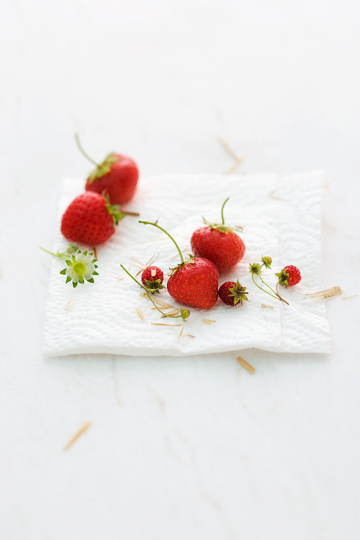 Various strawberries on kitchen paper
