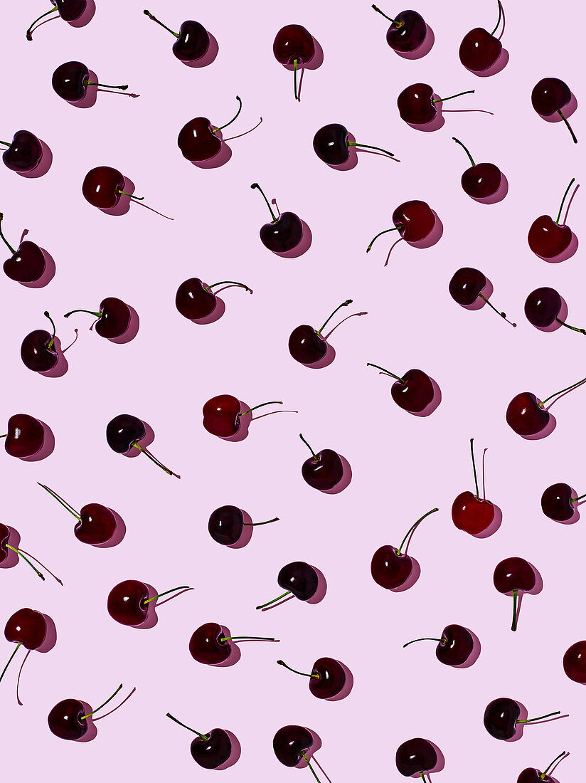 Cherries on pink background