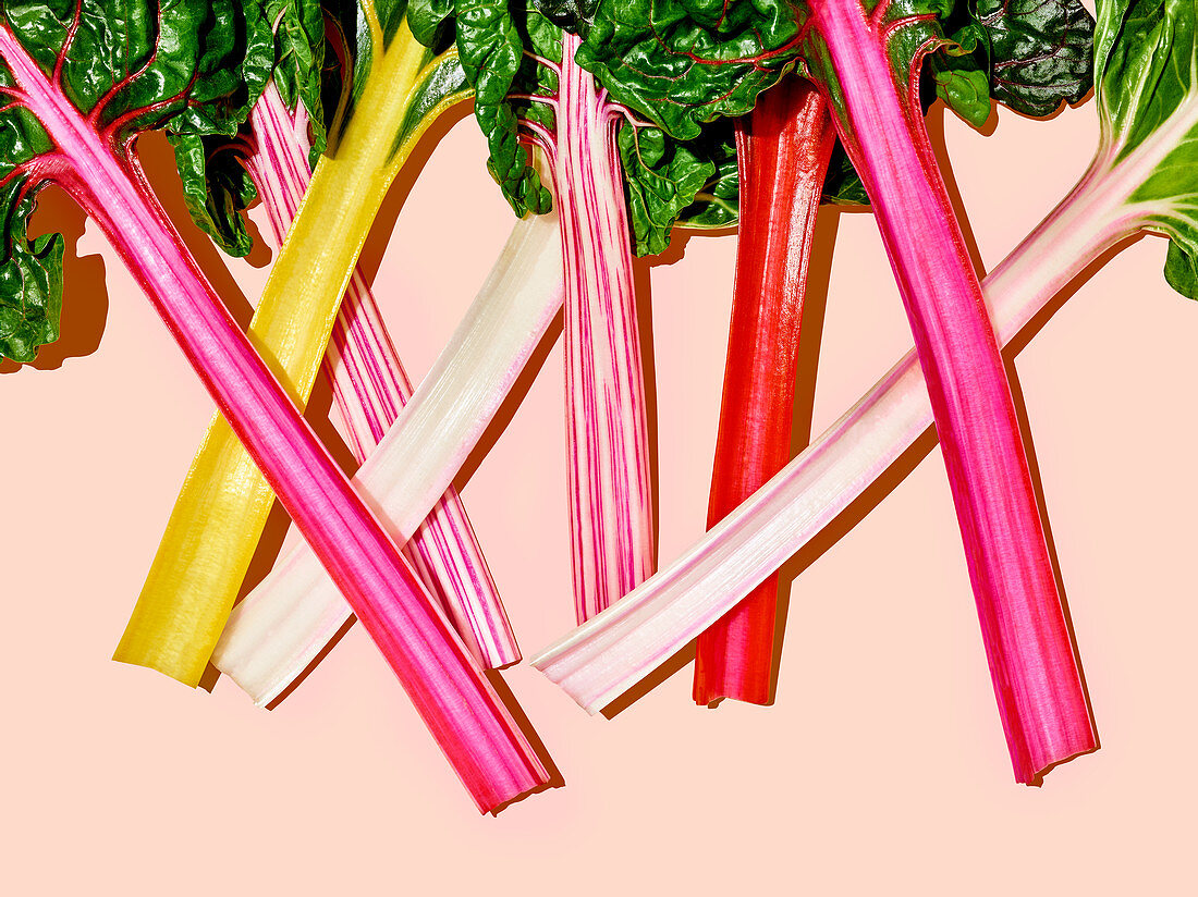 Rainbow chard