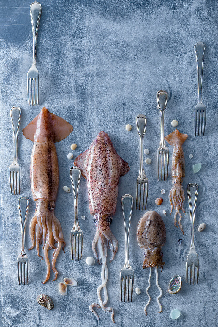 Tintenfisch-Gabel-Stilleben