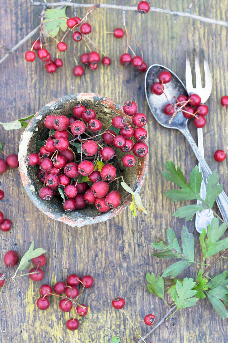 Haws in clay pot and cutlery on rustic wooden table
