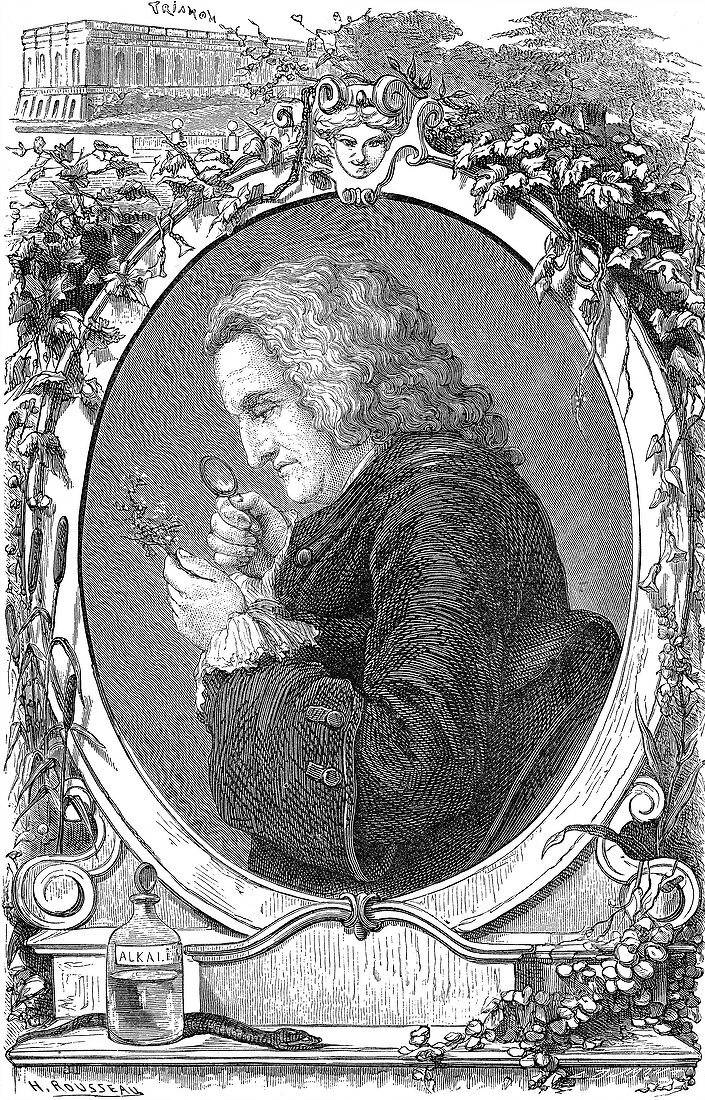 Bernard de Jussieu, French Naturalist