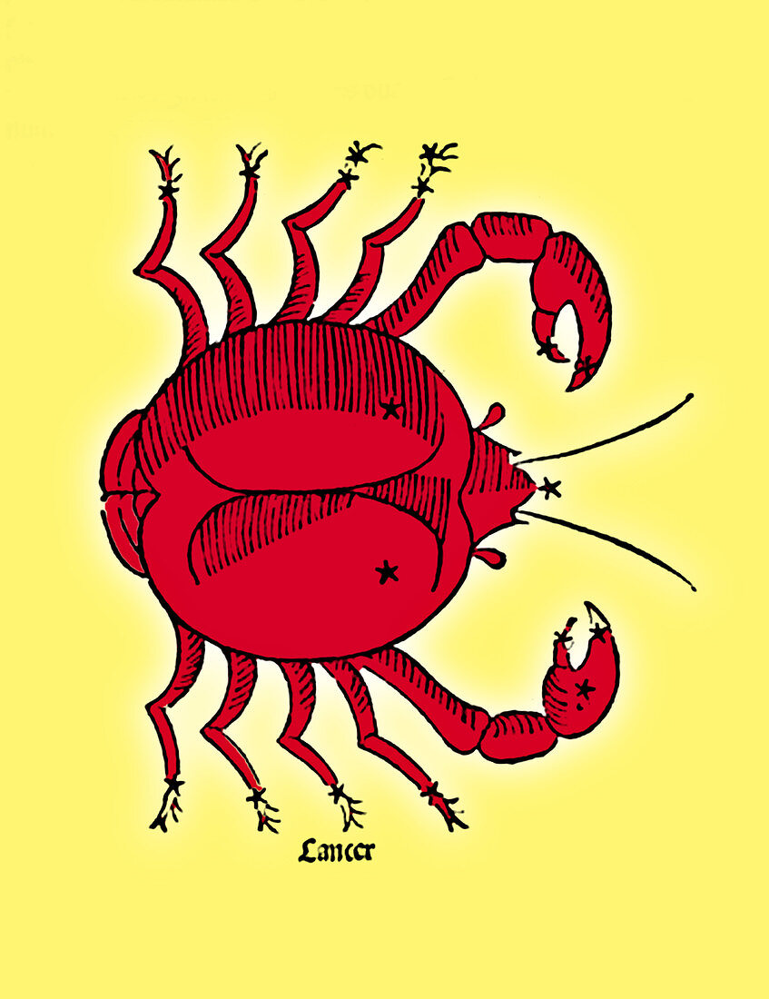 Zodiac Crab, Cancer Constellation