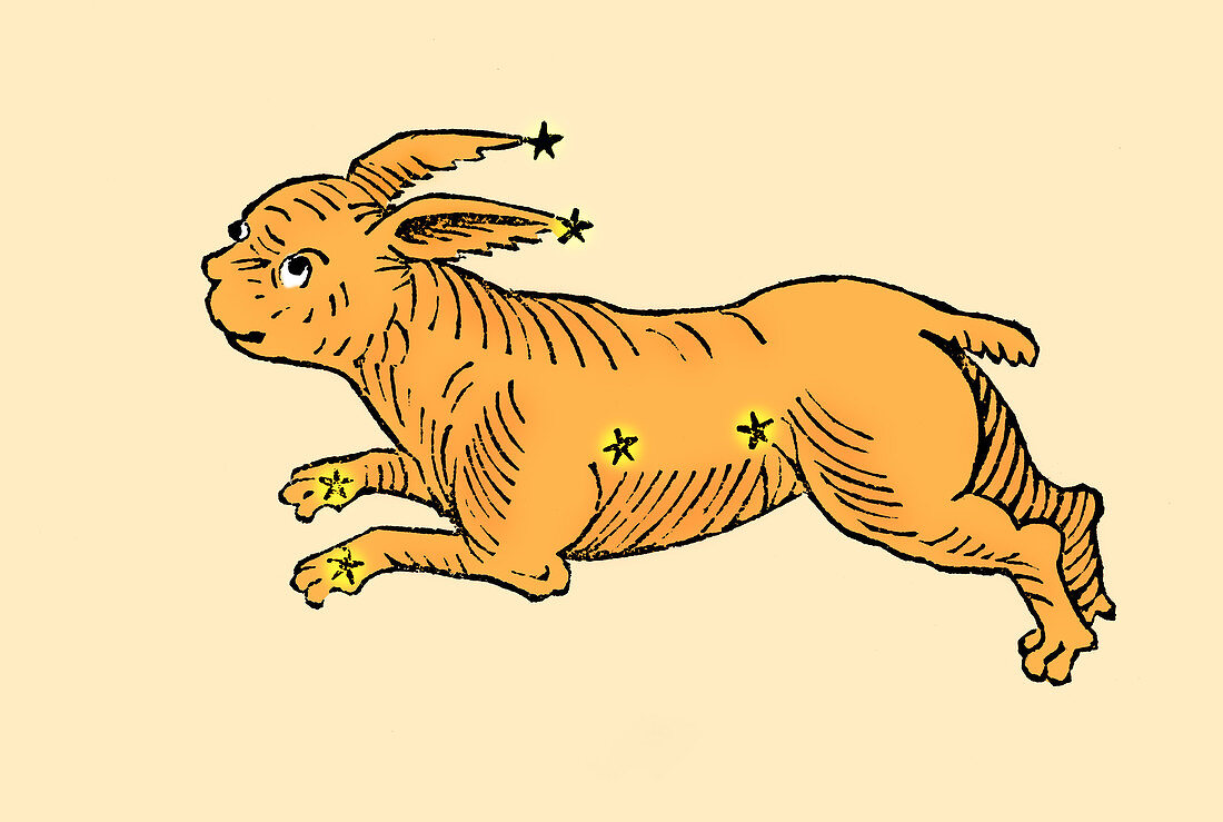 Lepus the Hare, Constellation
