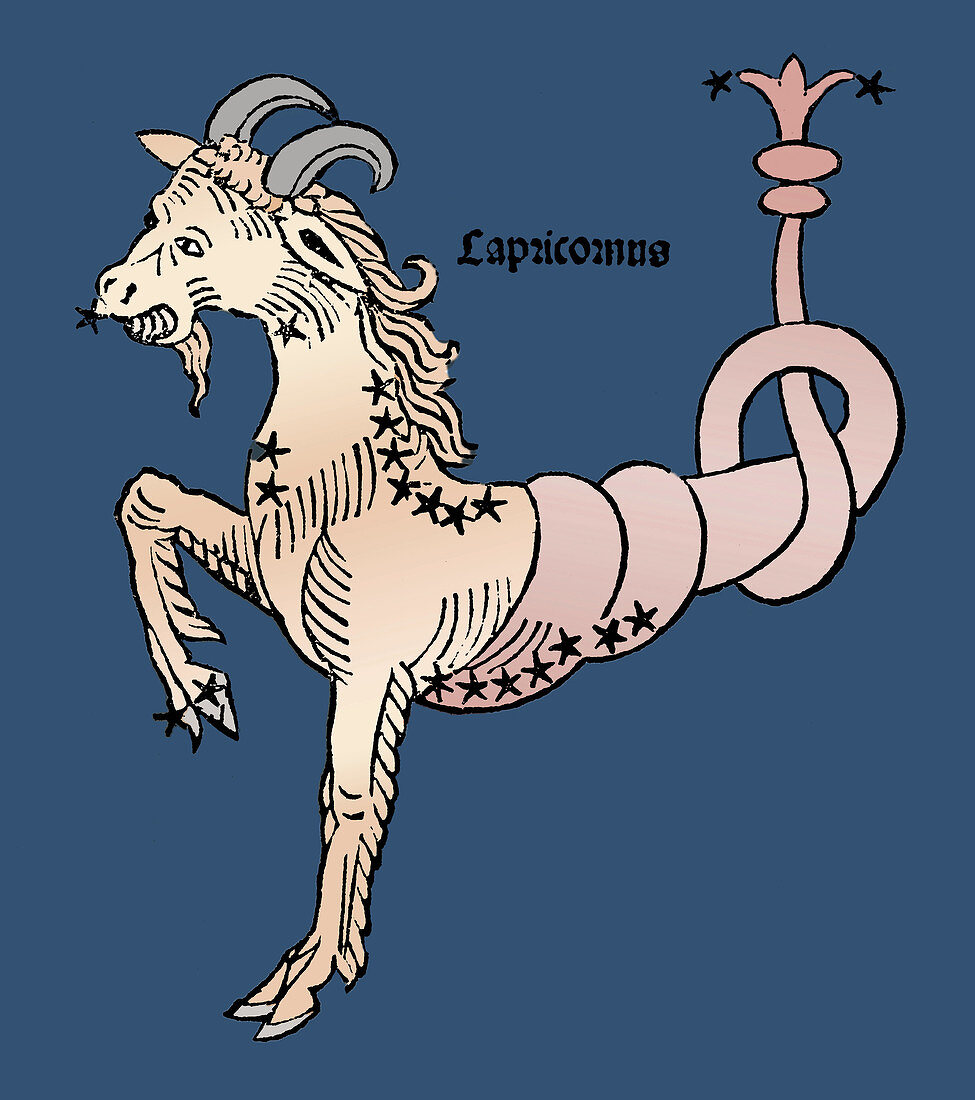 Sea-Goat, Capricornus Constellation