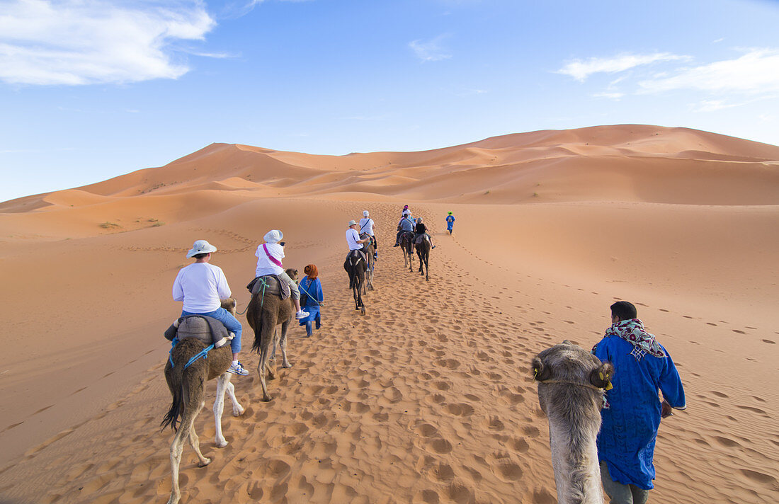 Tourists Riding Camels, Sahara Desert, Morocco