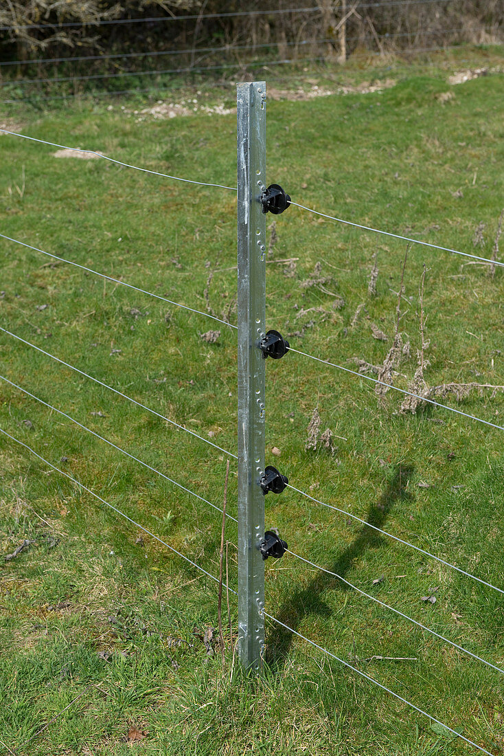 Electric Fence for Sheep